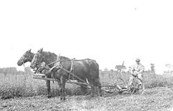 Horse-drawn Mower Horse-drawn Mower