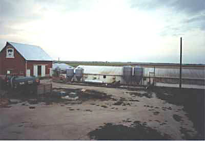 Hog Buildings Hog Buildings
