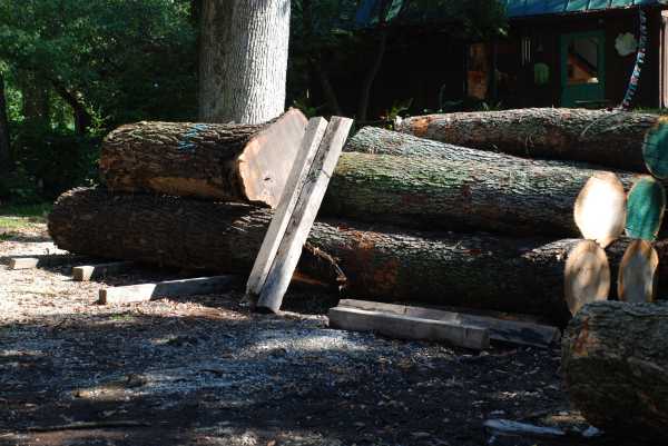 Hardwood Logs