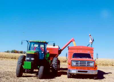 Corn Harvest Corn Harvest
