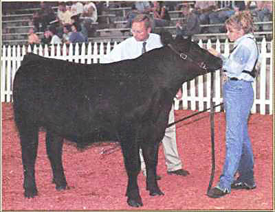 Georgia National Beef Show Georgia National Beef Show
