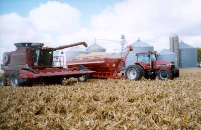 Corn Harvest Corn Harvest