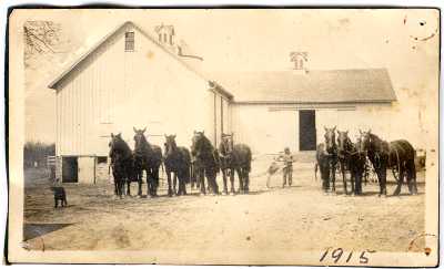 Horses on the Stark Farm, 1915 Horses on the Stark Farm, 1915
