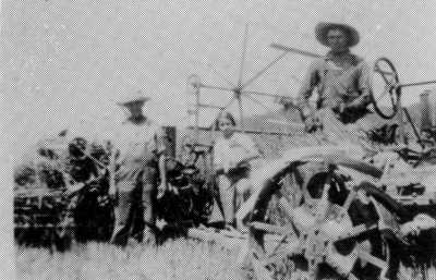 Cutting Wheat, 1931 Cutting Wheat, 1931