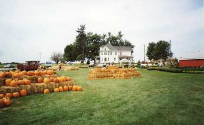Ackerman Farm House and Pumpkins