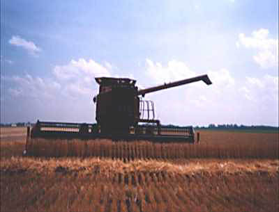 Combine on Brown Farm