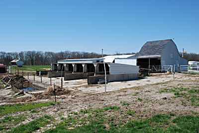 Barn and Sheds on Hambleton Ranch