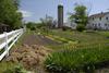 Vegetable Garden