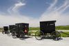 Amish Carriages