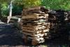 Hardwood Logs Ready to Process