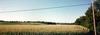 Johnson Cornfields