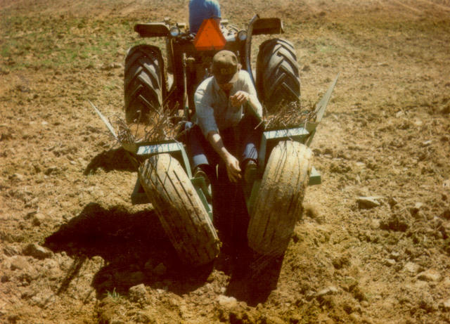 Planting Fruit Trees