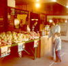 Roadside Apples, 1978