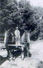 Man in Horse-drawn Wagon