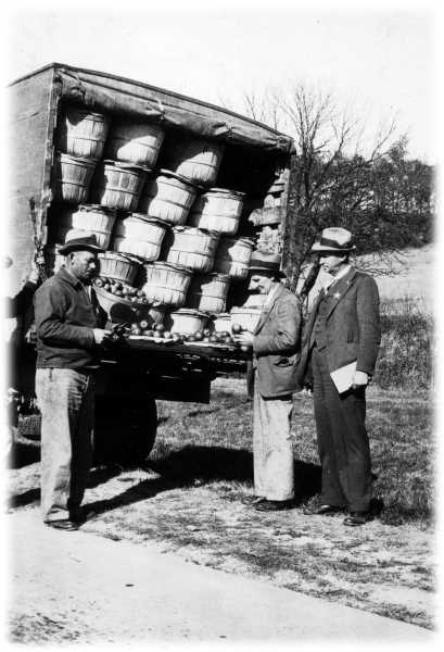 Fruit Brokers