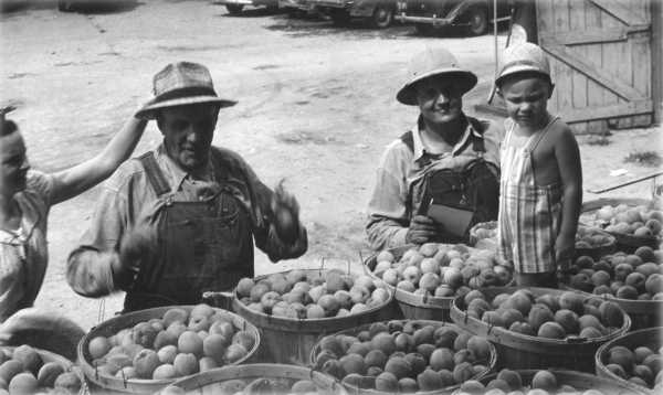 Peaches in Truck Peaches in Truck