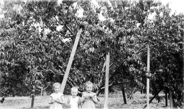 Kids with Fruit Kids with Fruit