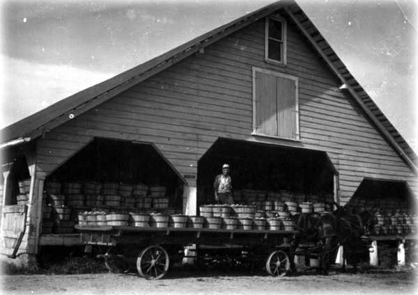 Rendleman's Old Shed Rendleman's Old Shed