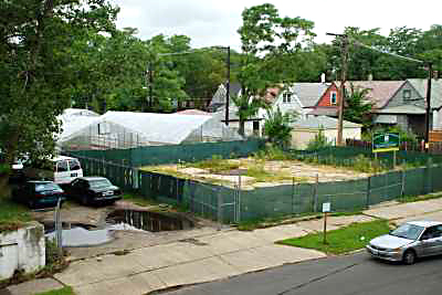 Urban Farm Neighborhood