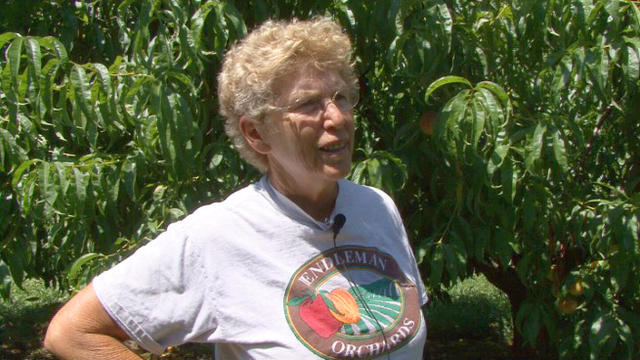 Betty Sirles Interviewed in the Orchards Betty Sirles Interviewed in the Orchards