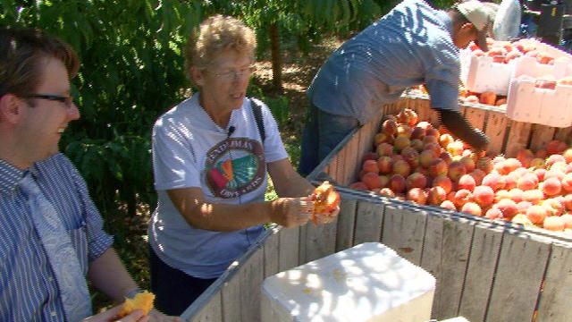 Betty Sirles Opening Peach