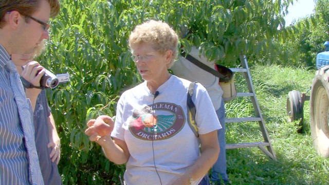 Betty Sirles on Peach Qualities