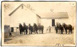 Horses on the Stark Farm, 1915