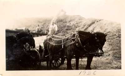 Horse Team, Wagon, and Thresher, 1936