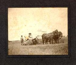 Horse-drawn Binder on Black Farm