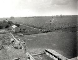 Fields from the Barn