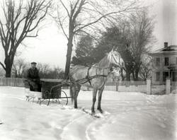 Horsedrawn Sleigh