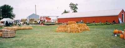 Ackerman Pumpkin Sales Yard and Shop